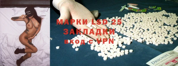 PSILOCYBIN Алзамай